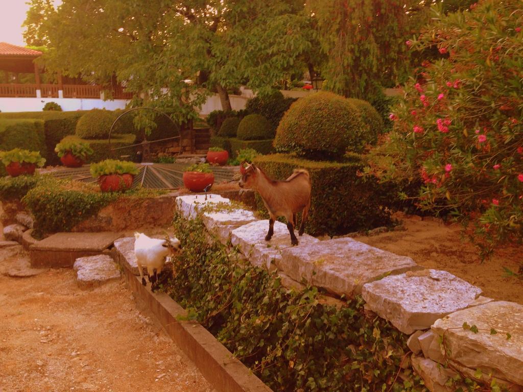 Otium Country House Alvorge Ngoại thất bức ảnh
